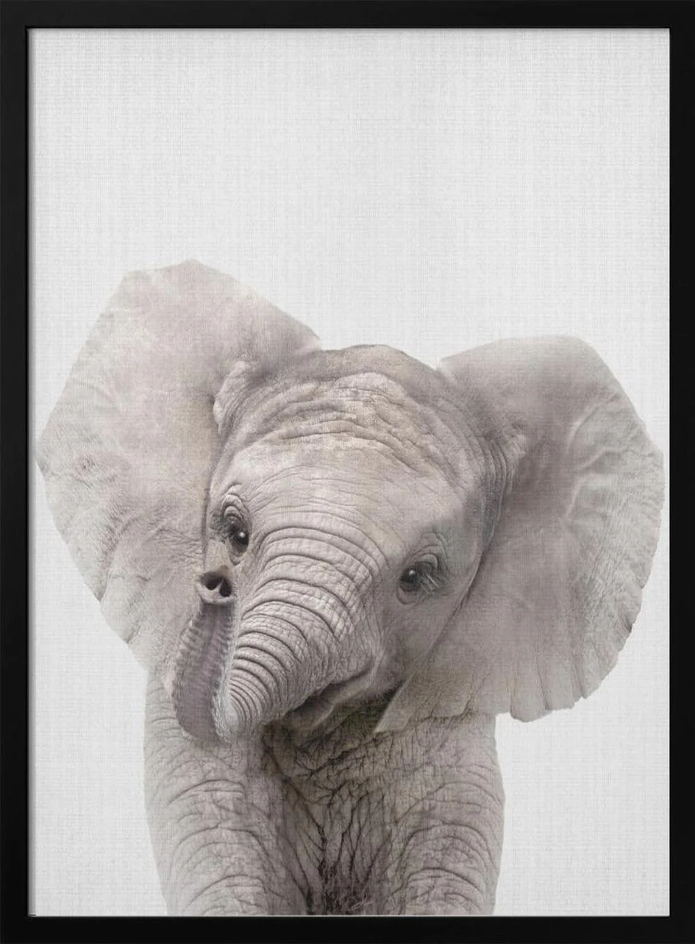 Peekaboo Baby Elephant - Image 3