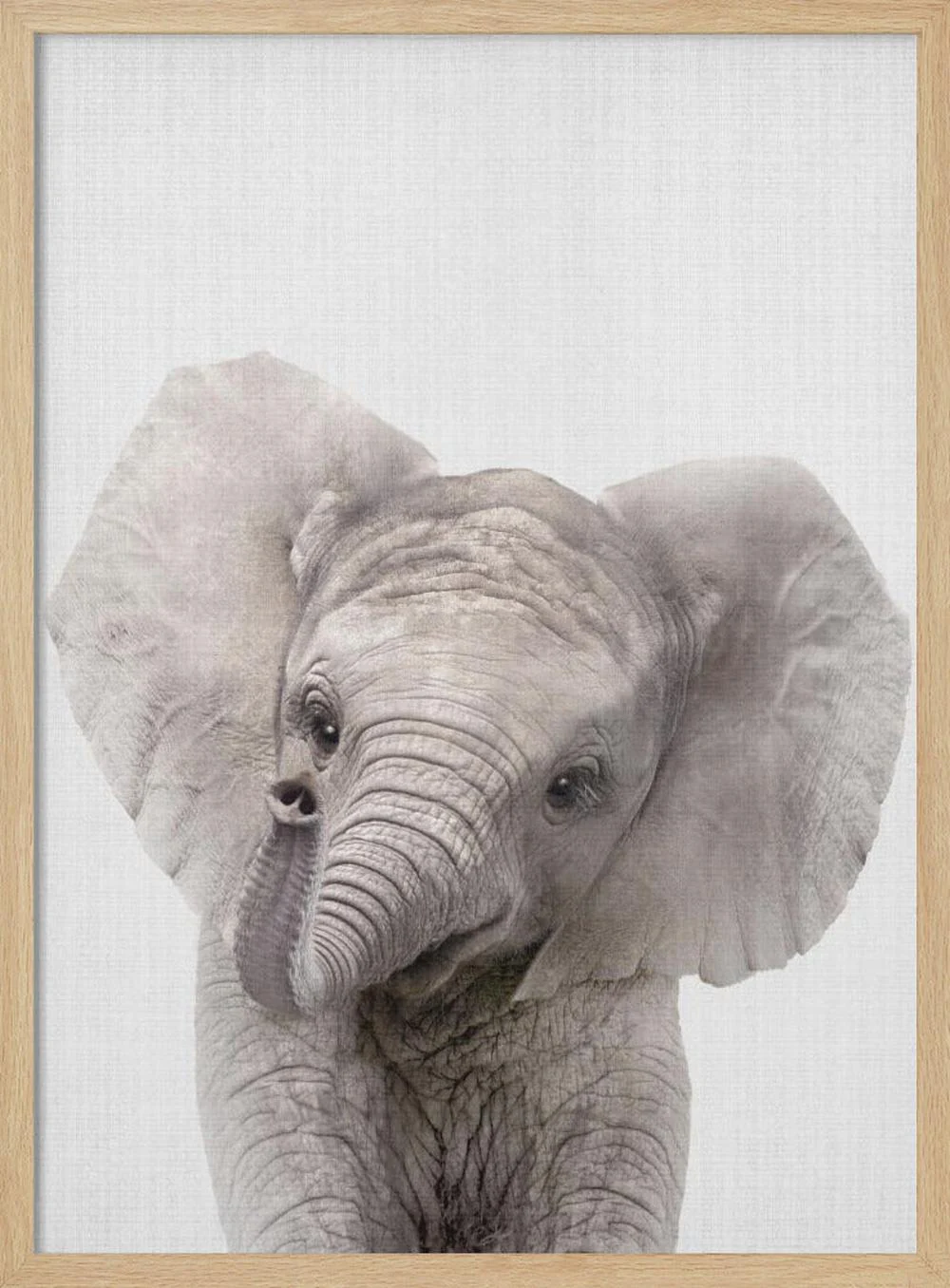 Peekaboo Baby Elephant - Image 4