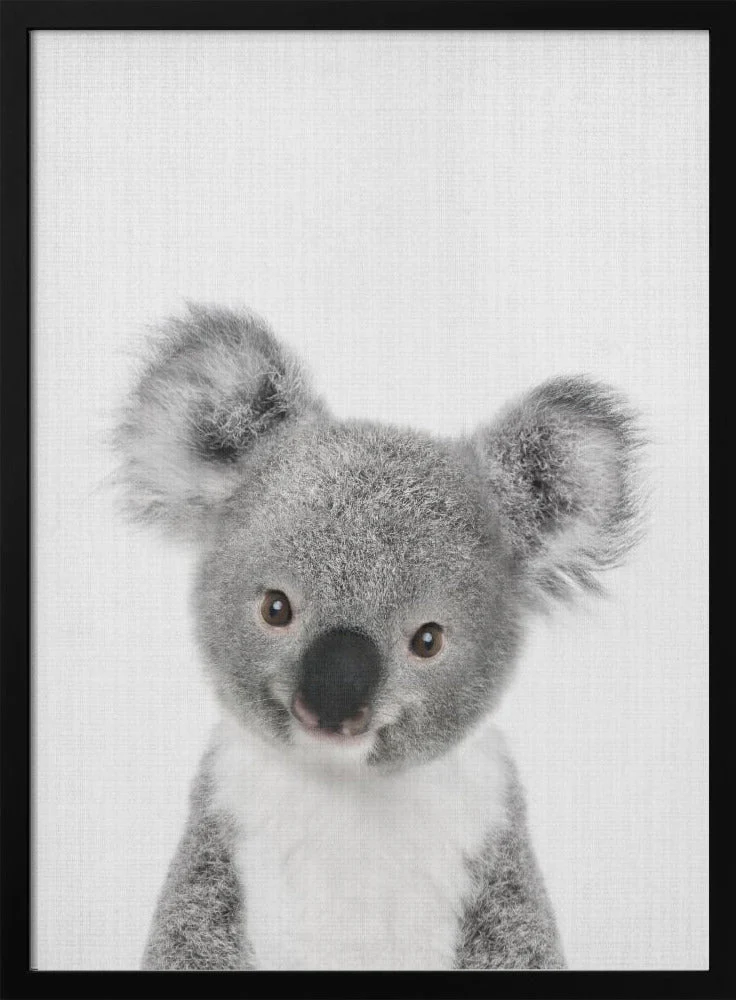 Peekaboo Baby Koala - Image 3