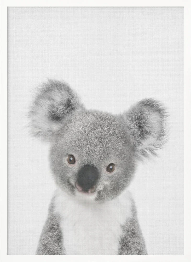 Peekaboo Baby Koala - Image 5