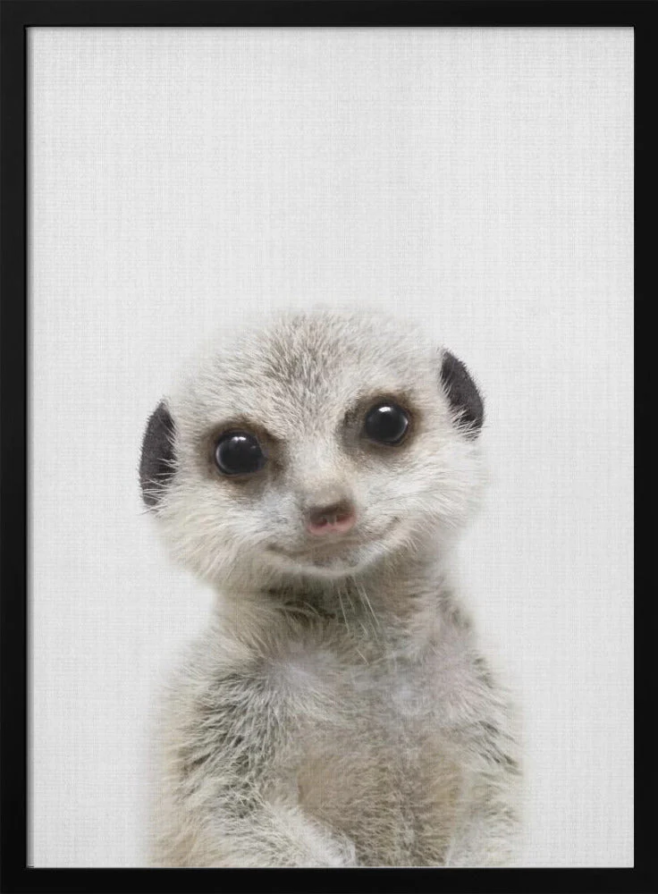 Peekaboo Baby Meerkat - Image 3