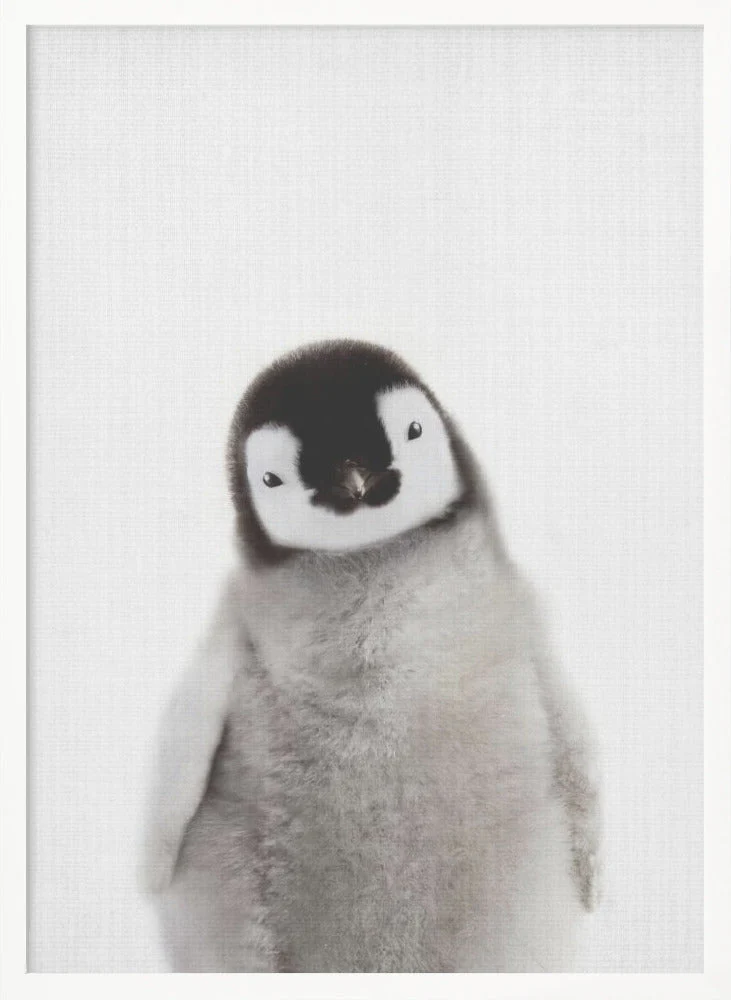 Peekaboo Baby Penguin - Image 5