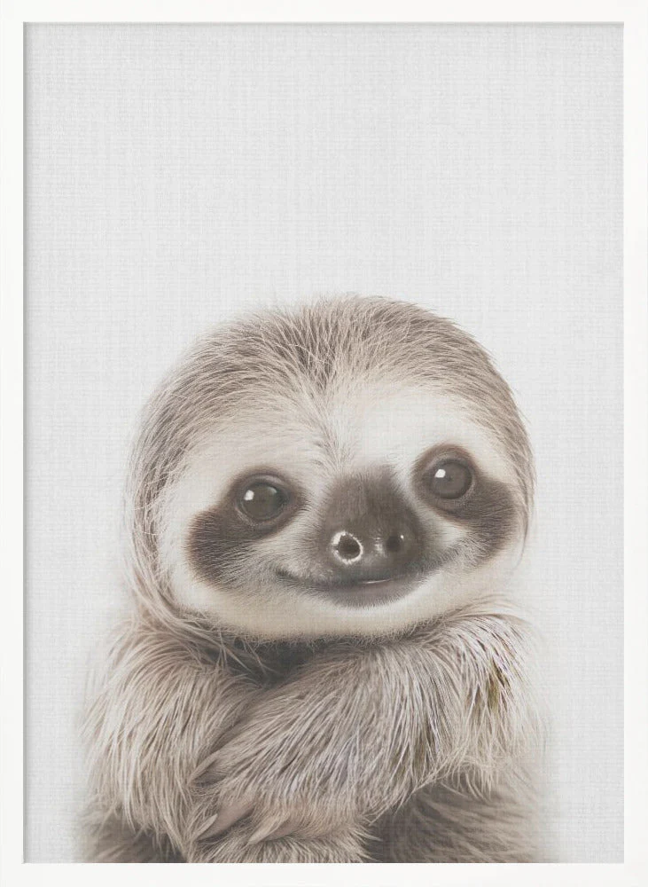 Peekaboo Baby Sloth - Image 5