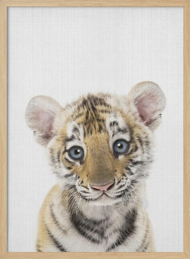 Peekaboo Baby Tiger - Image 4