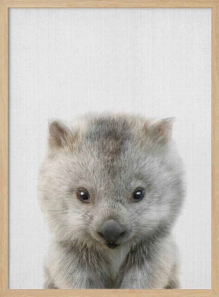 Peekaboo Baby Wombat - Image 4