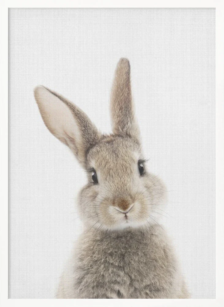 Peekaboo Bunny - Image 5