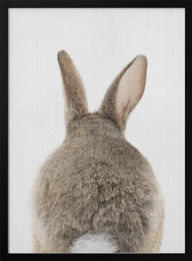 Peekaboo Bunny Tail - Image 3