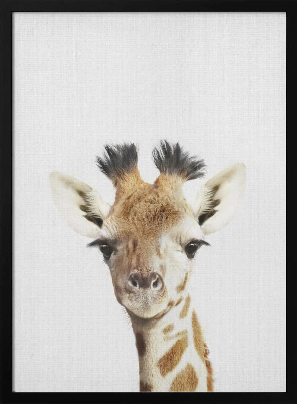 Peekaboo Giraffe - Image 3