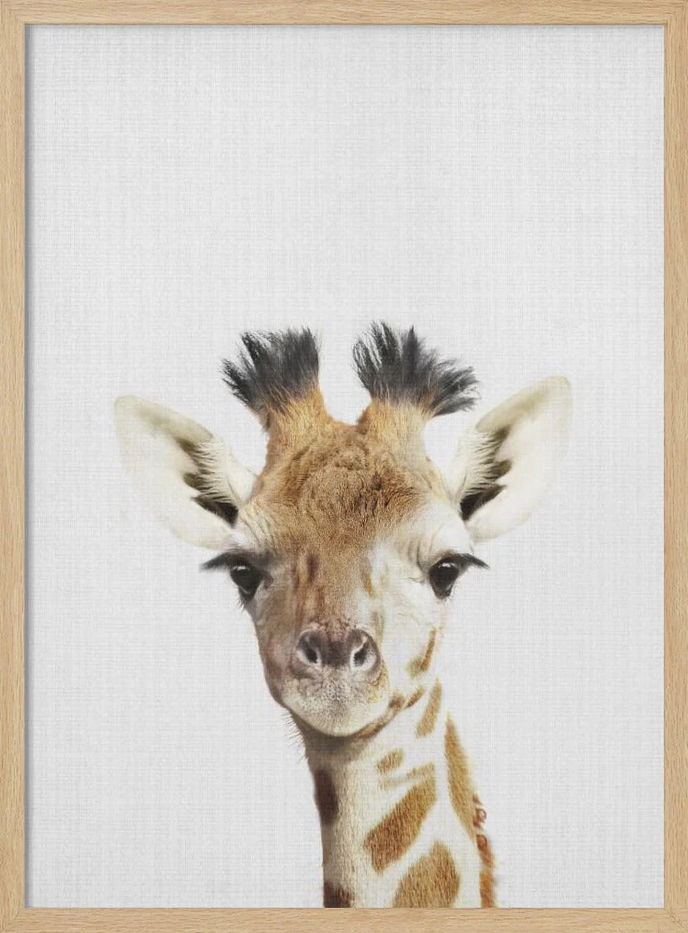 Peekaboo Giraffe - Image 4