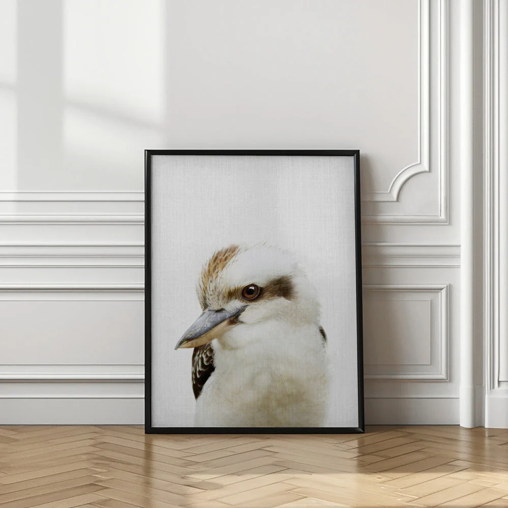 Peekaboo Kookaburra - Image 2
