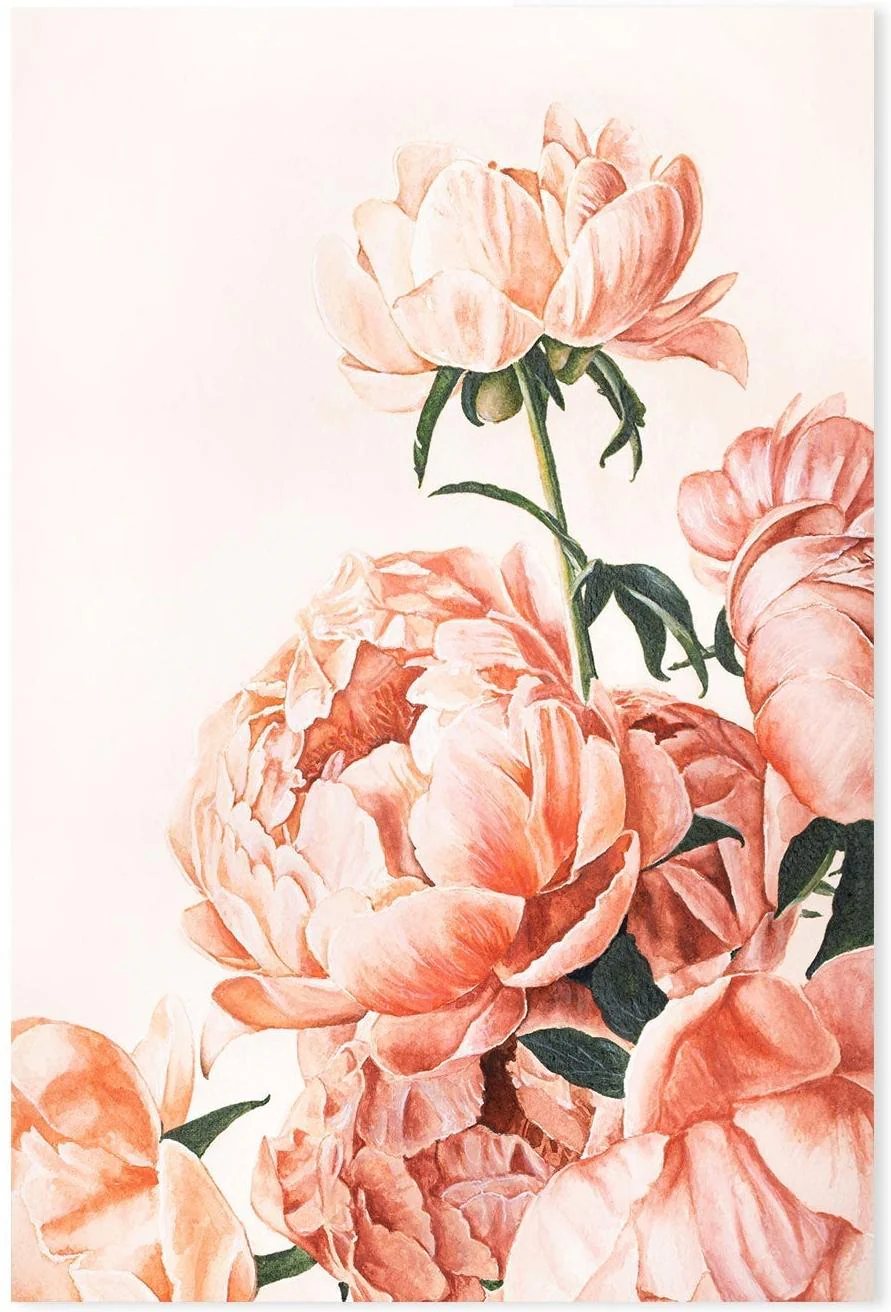 Peonies