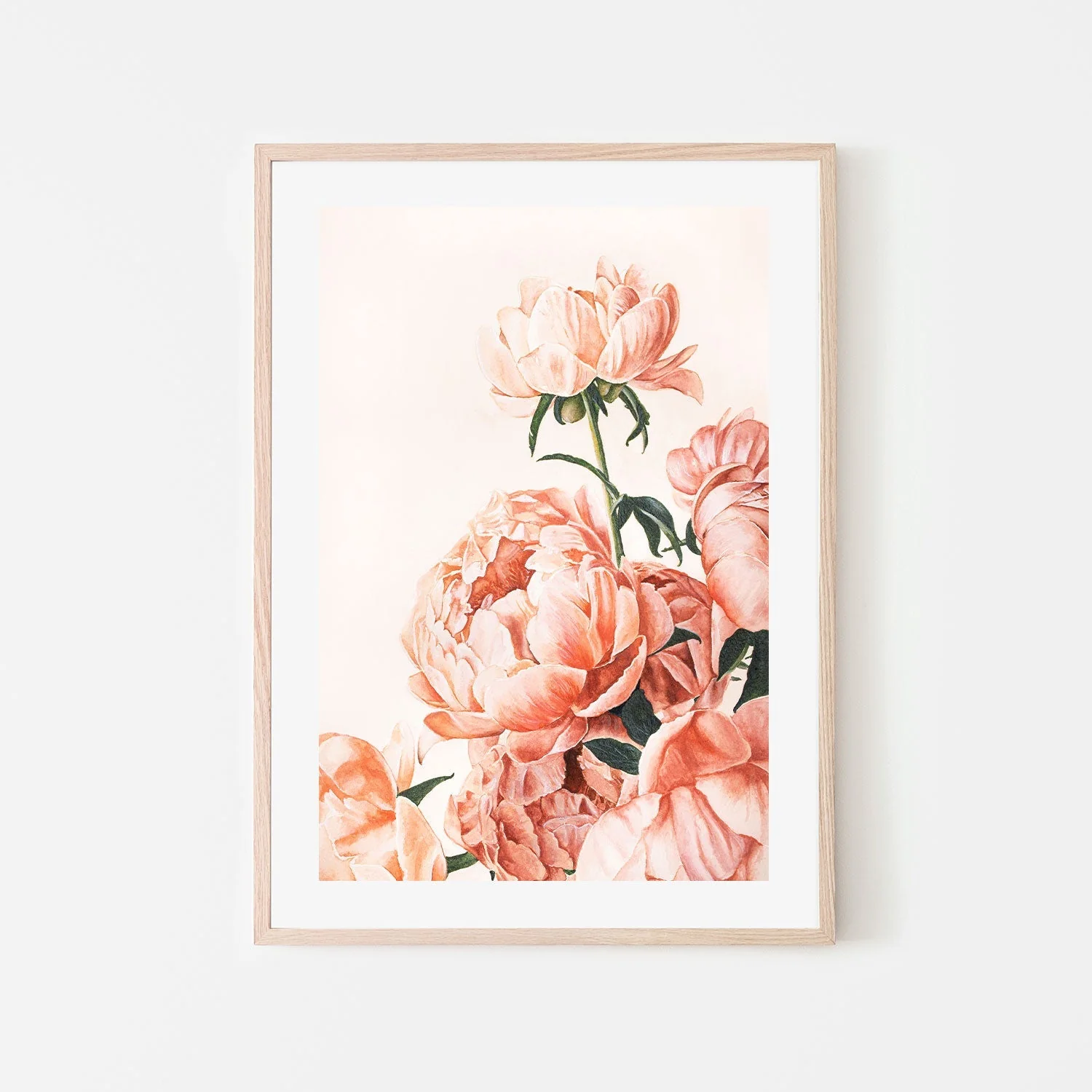 Peonies - Image 6