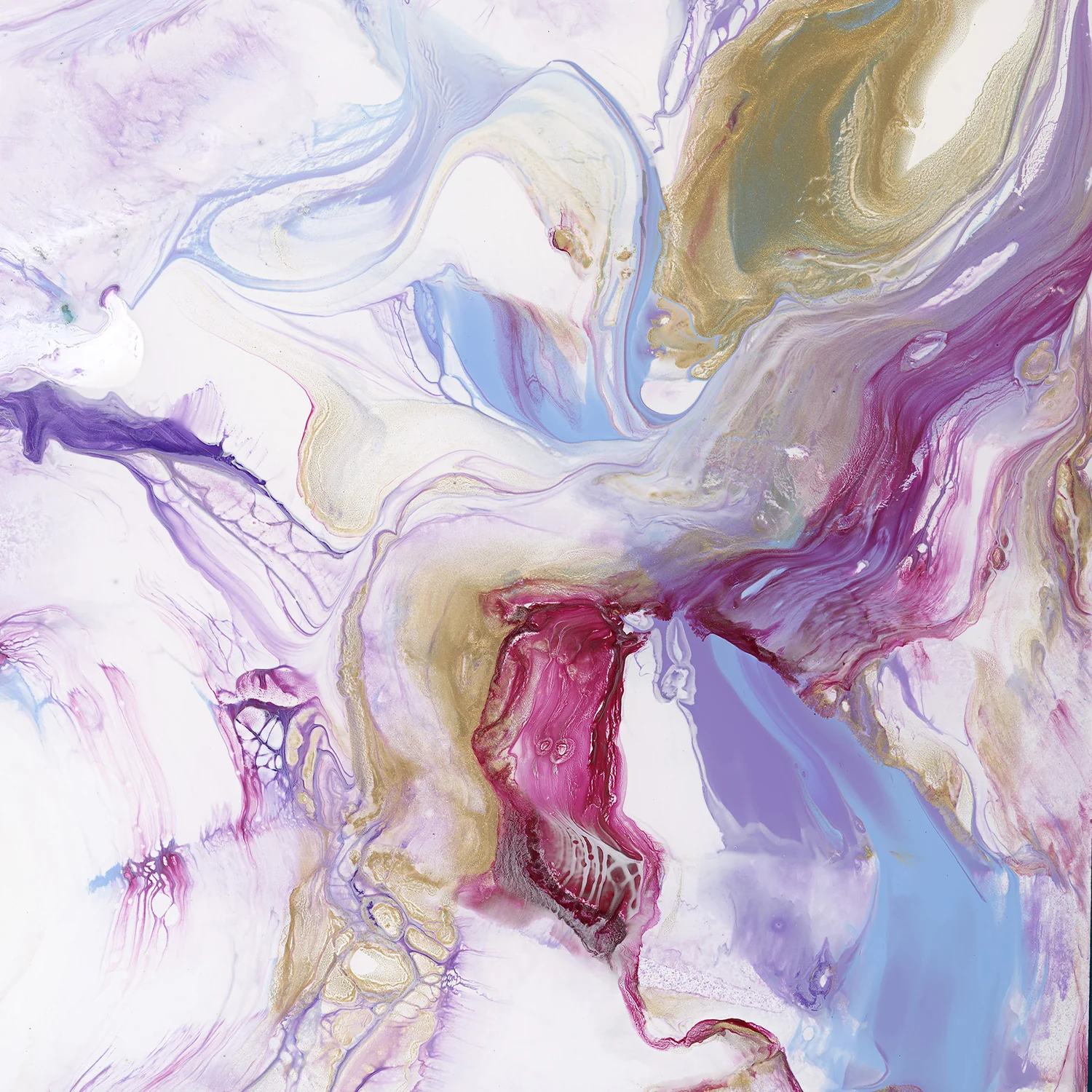 Periwinkle - Image 11