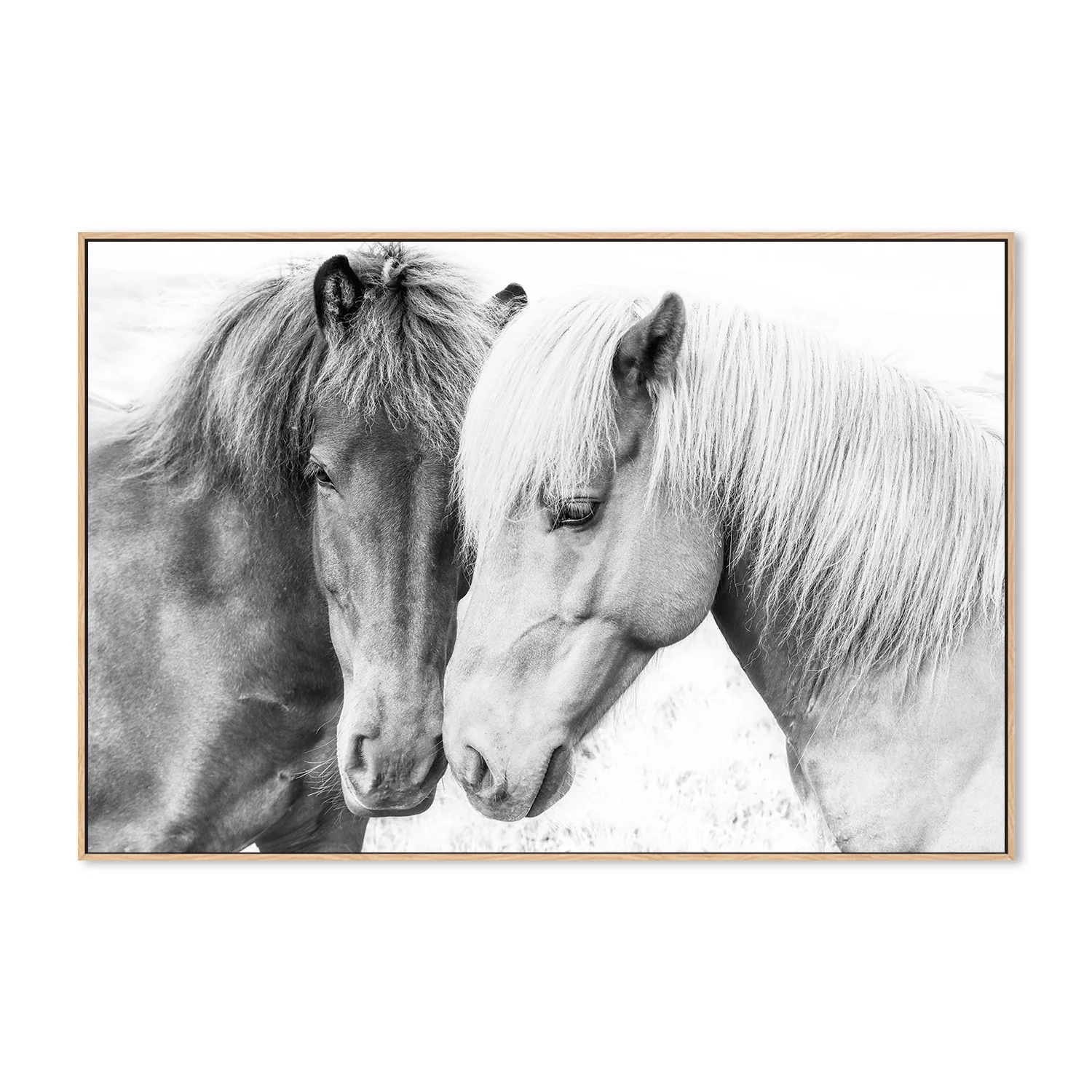 Pienaar, Horse Love - Image 4