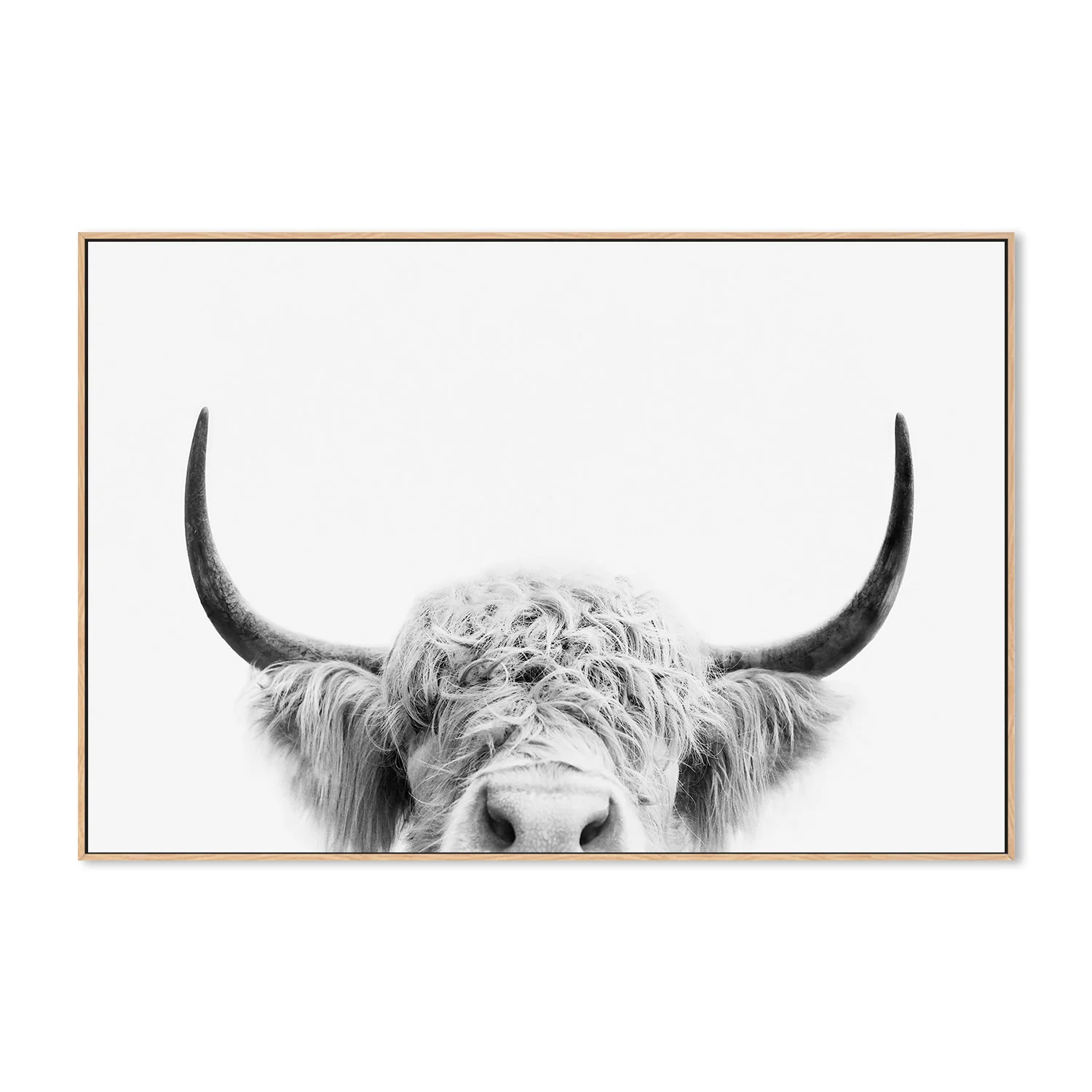 Pienaar, Peeking Cow - Image 4