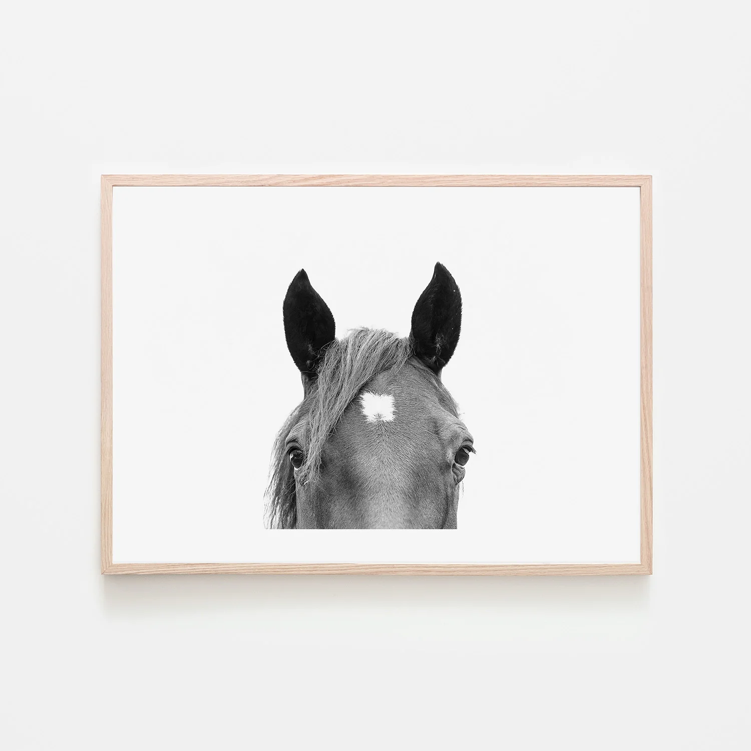 Pienaar, Peeking Horse - Image 6