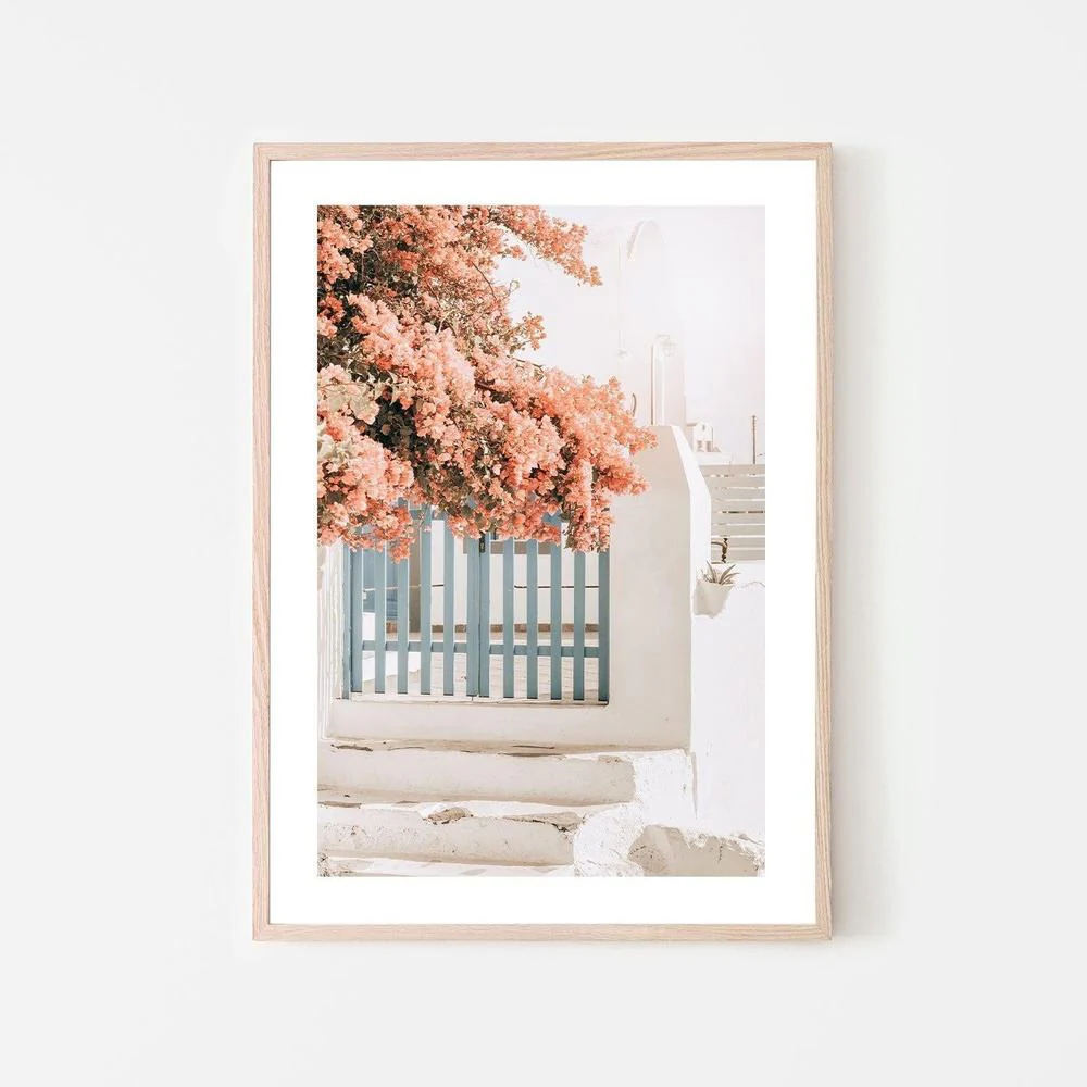 Pink Bougainvillea Flower and Blue Fence in Santorini - Image 6