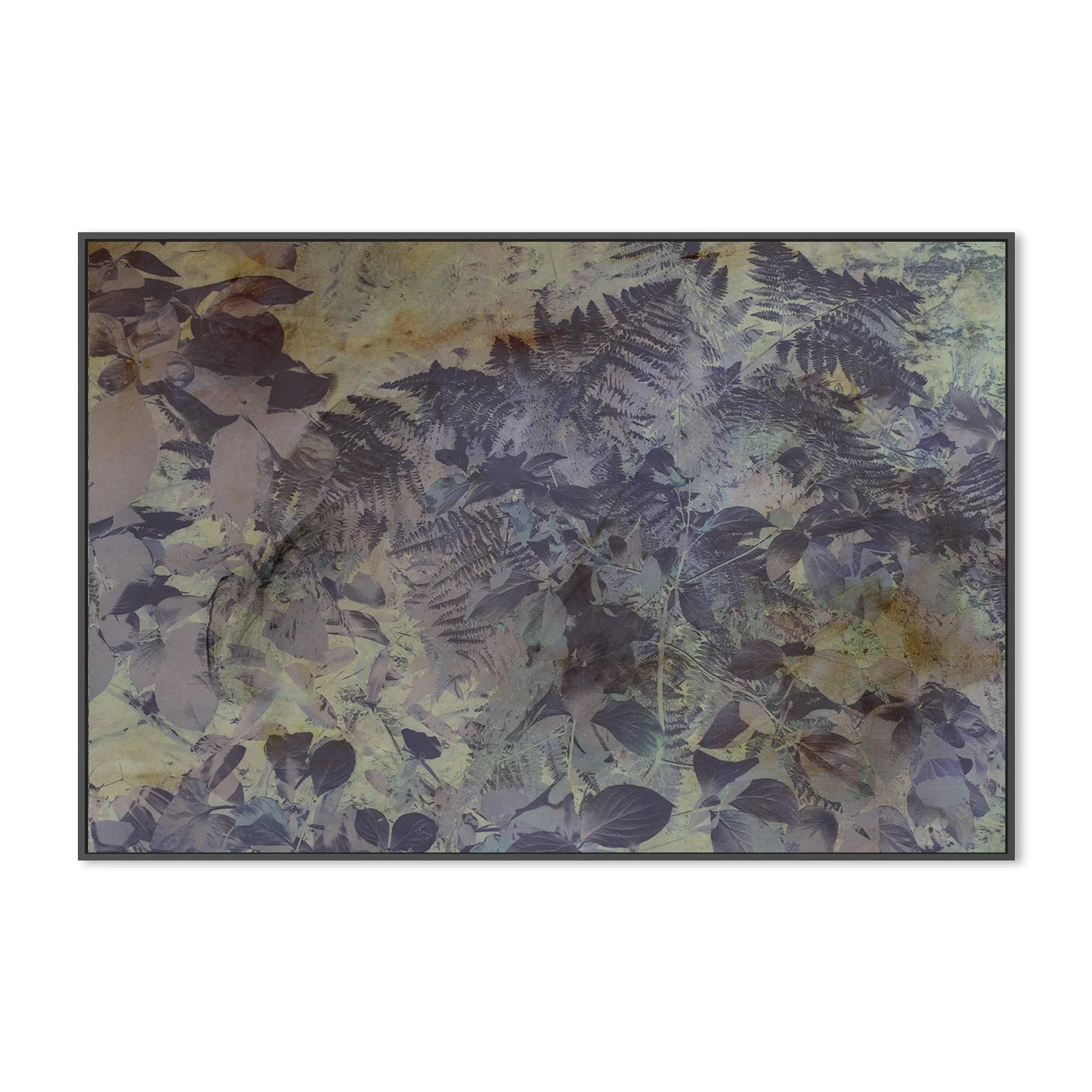 Plum Forest - Image 3