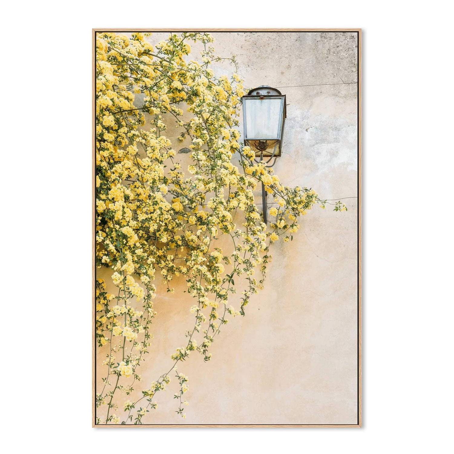 Primavera, Florence, Italy - Image 4