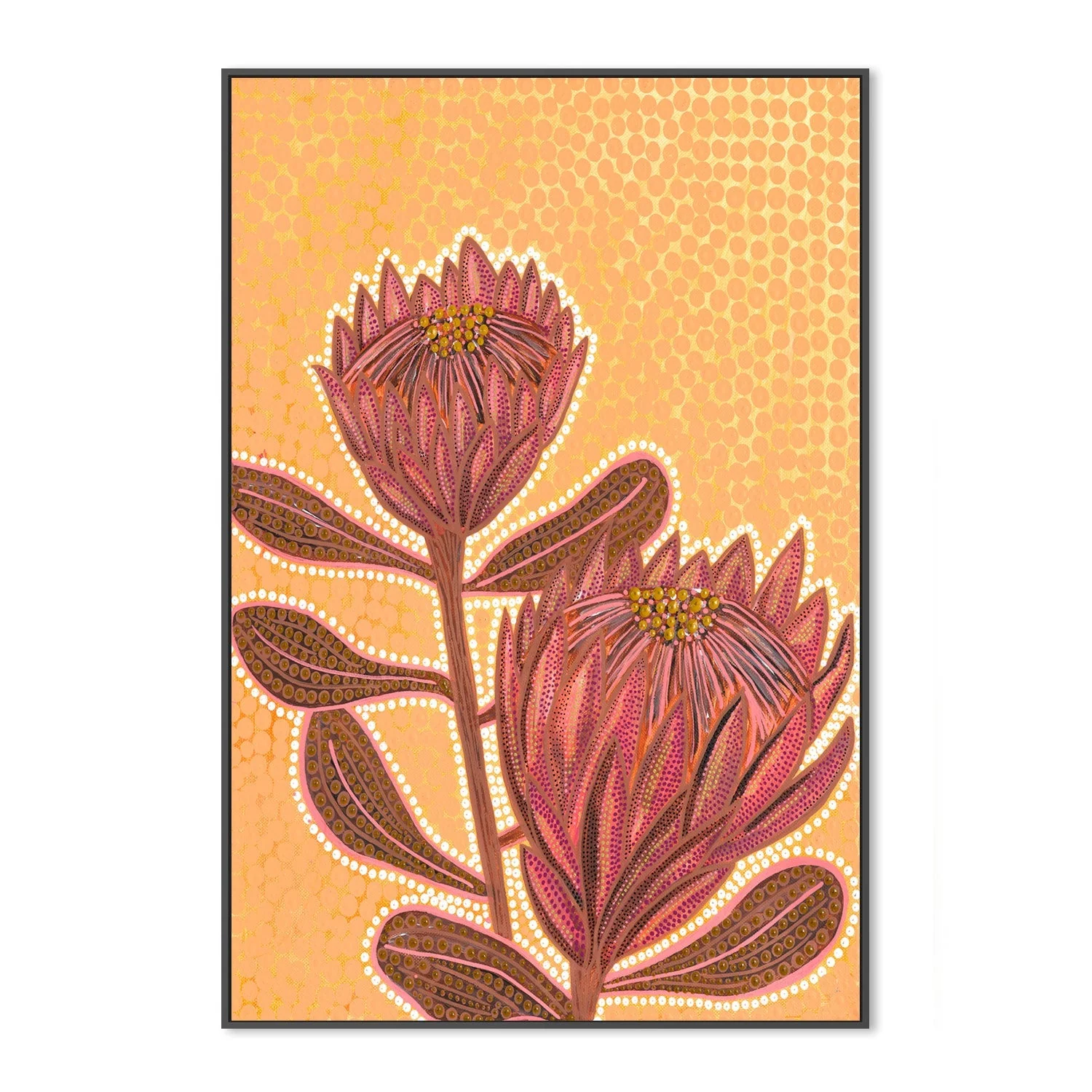 Proteas - Image 3