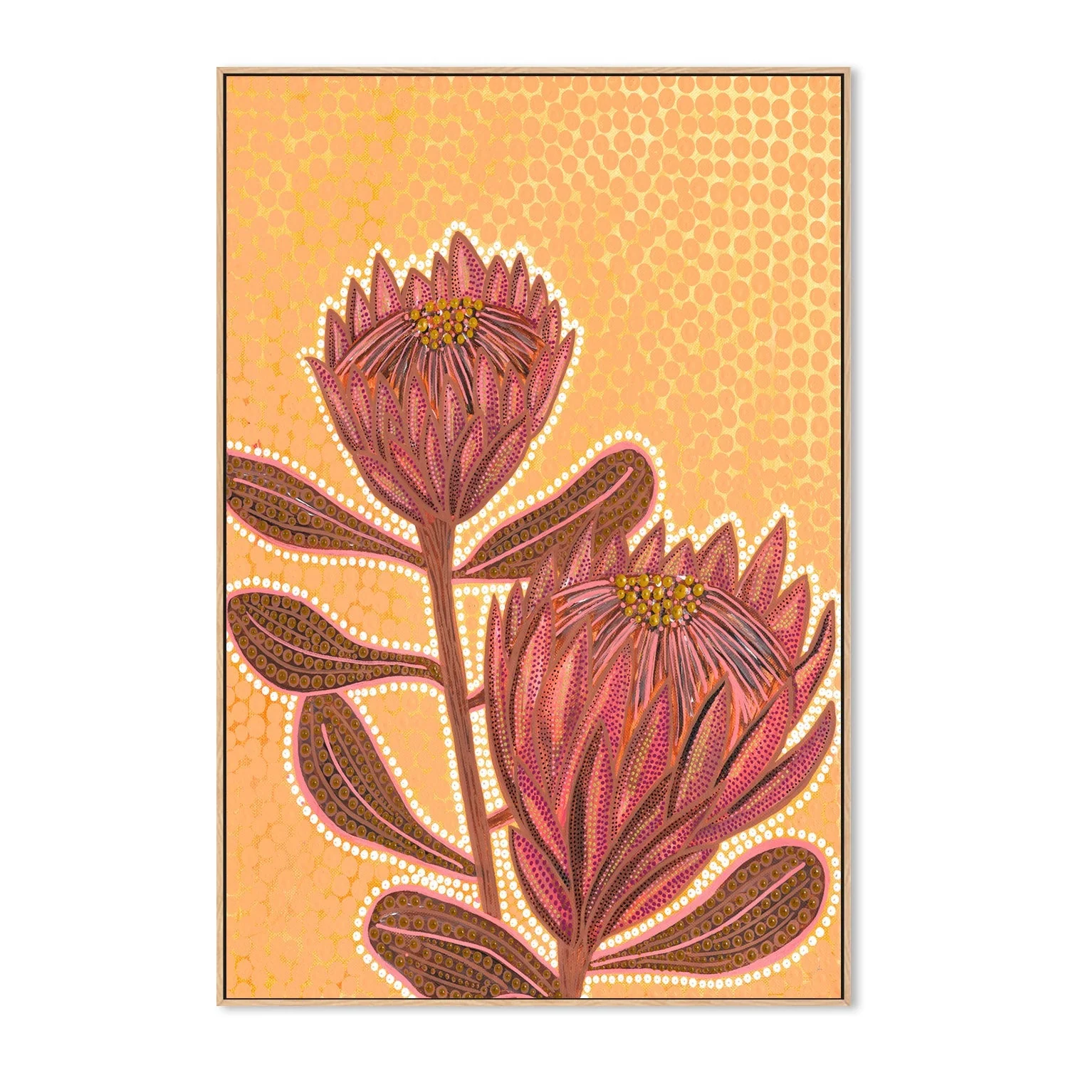 Proteas - Image 4