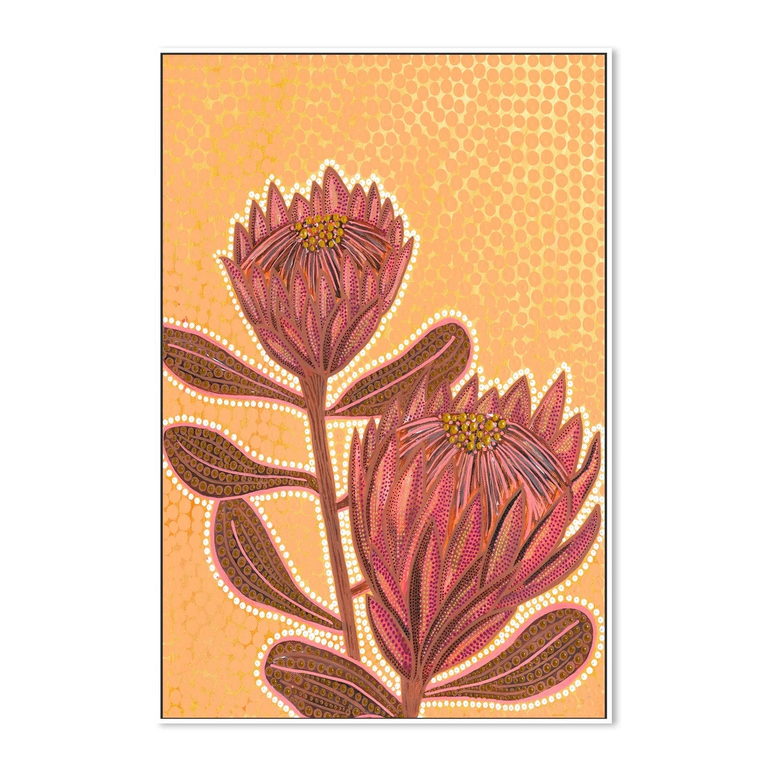 Proteas - Image 5