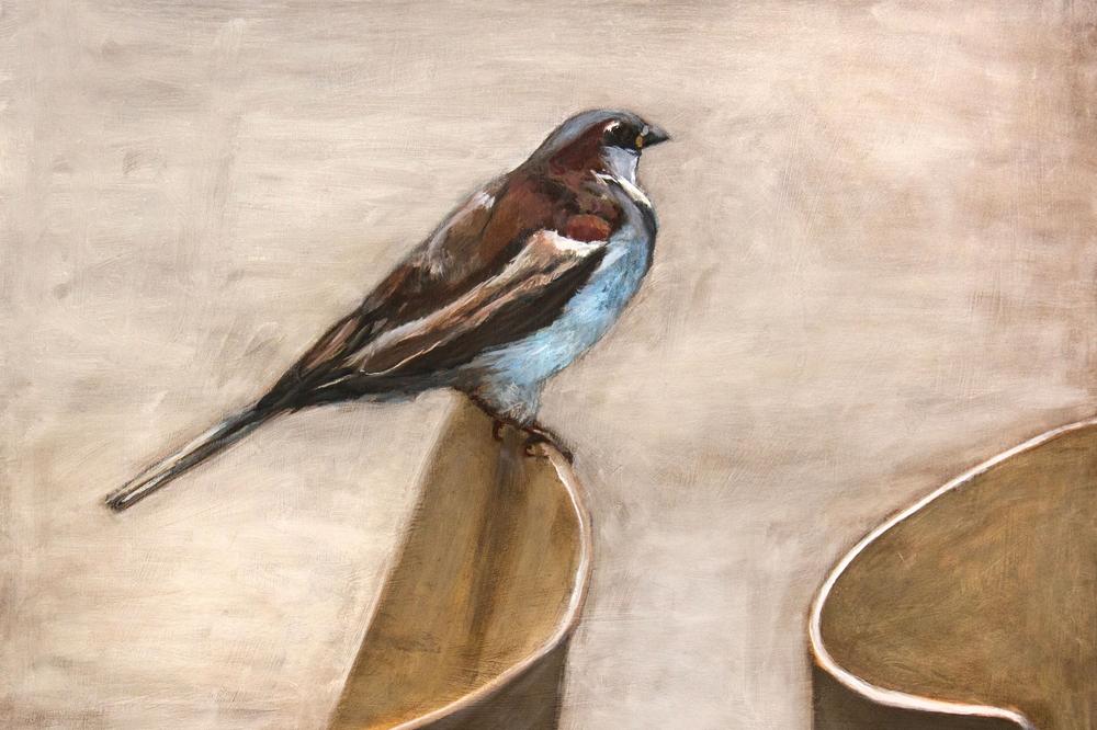 Quiet Sparrow Perch