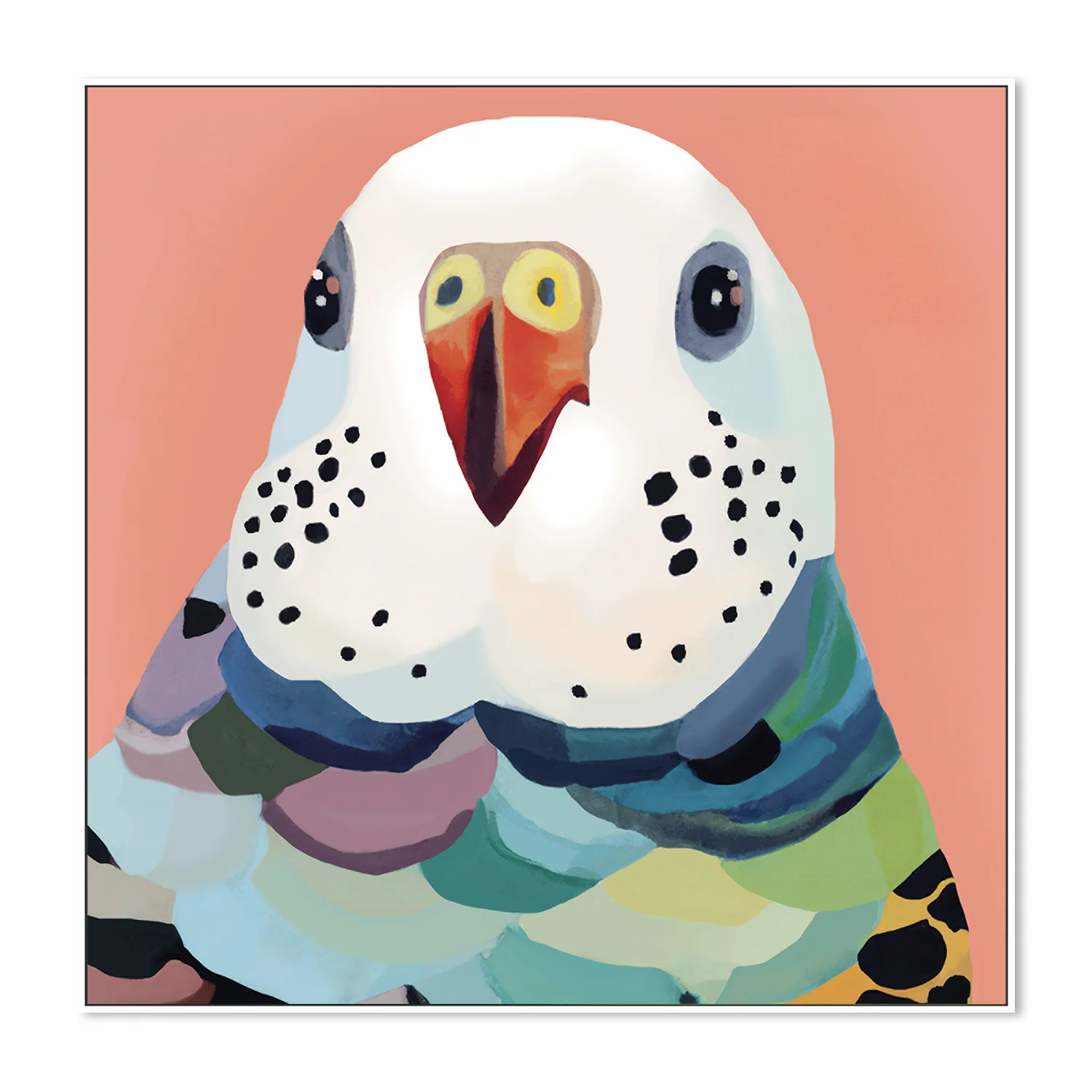 Rainbow Budgie - Image 5