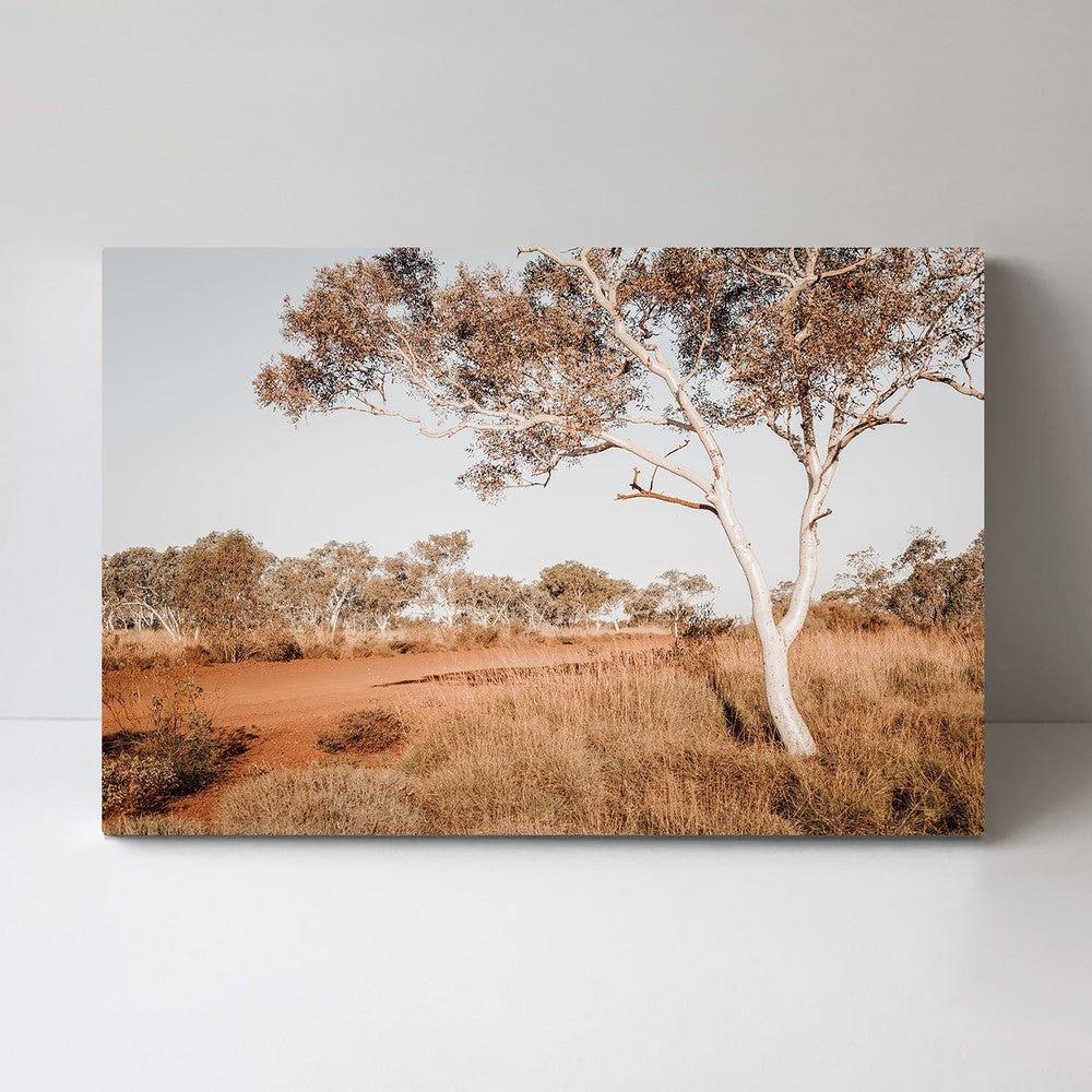 Red Center, Bush And Gum Tree In The Outback Australia - Image 3