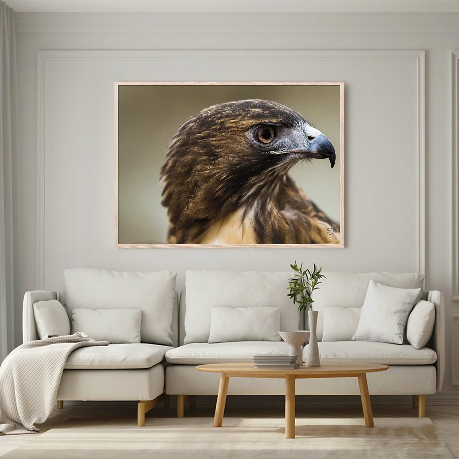 Red Tailed Hawk Profile - Image 8