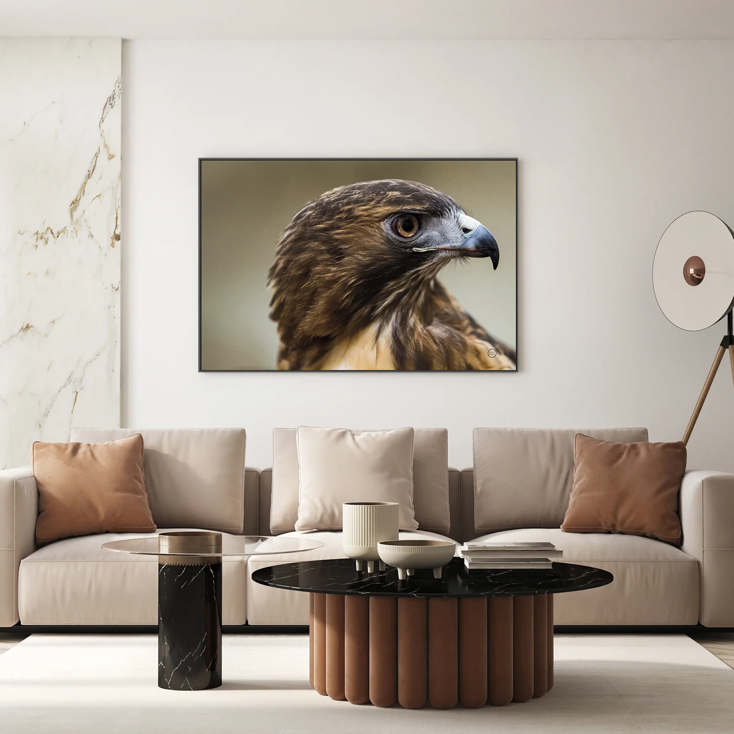 Red Tailed Hawk Profile - Image 9