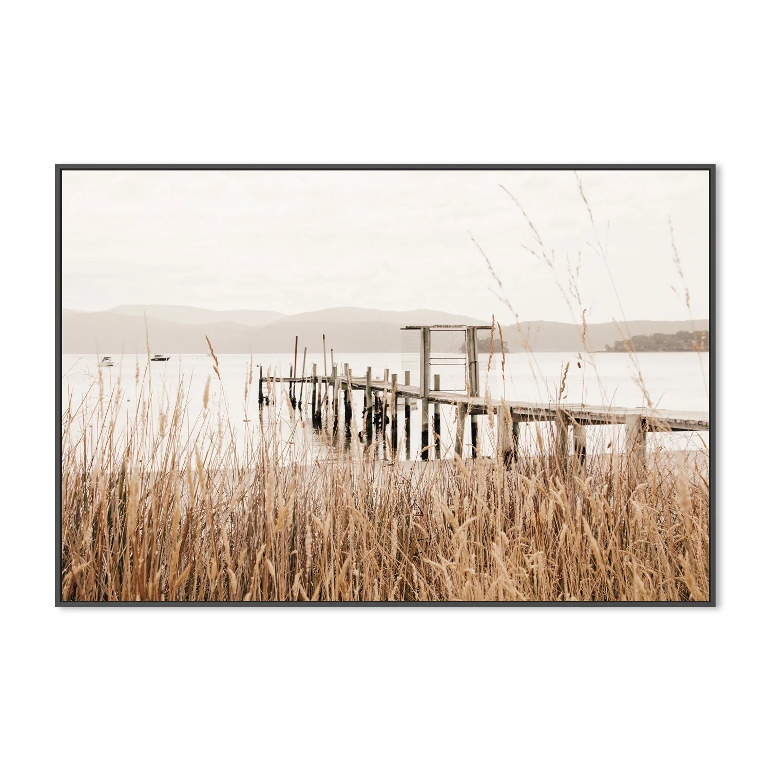 Reeds, Port Arthur, Tasmania - Image 3