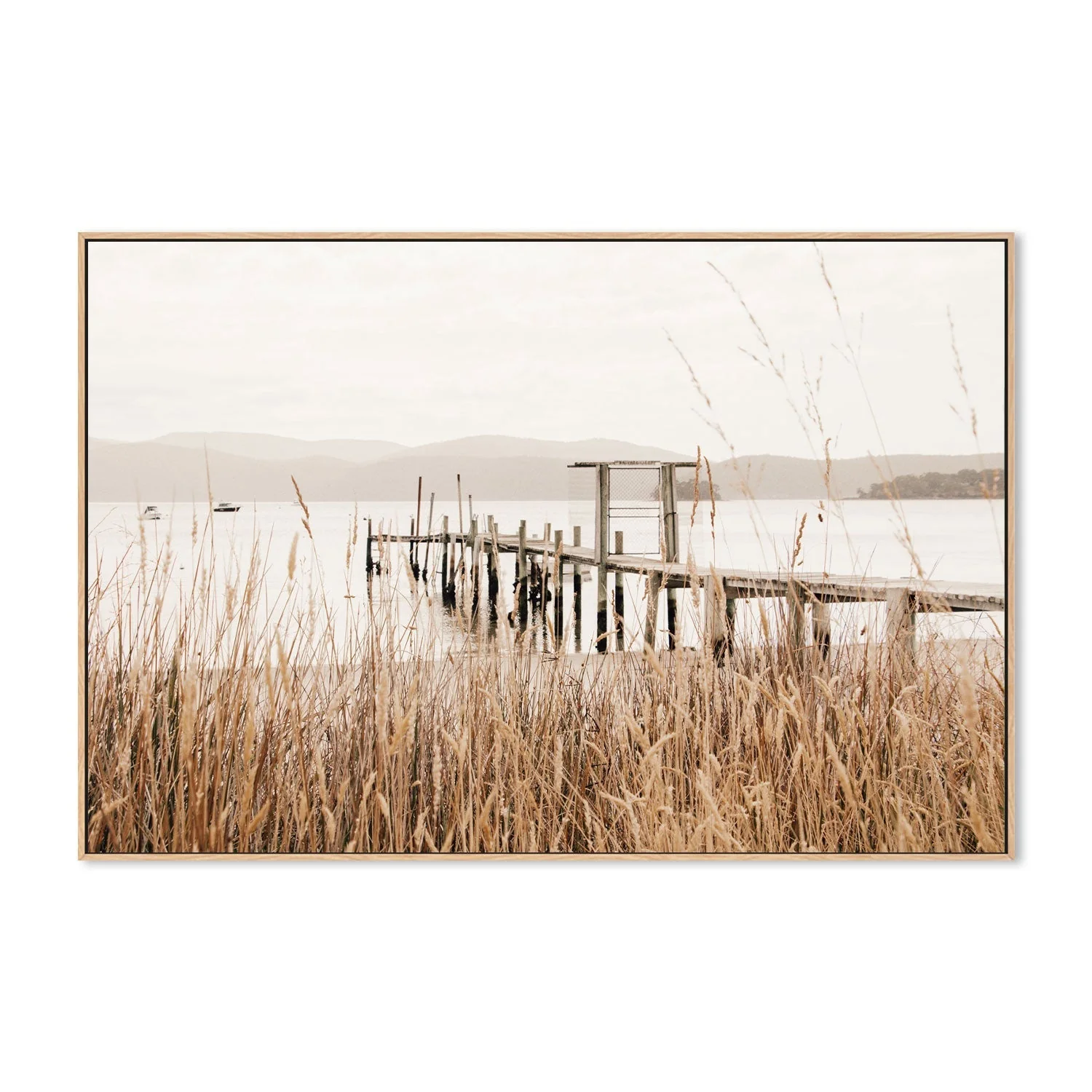 Reeds, Port Arthur, Tasmania - Image 4