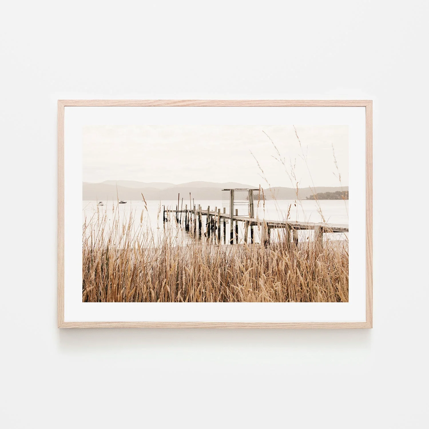 Reeds, Port Arthur, Tasmania - Image 6