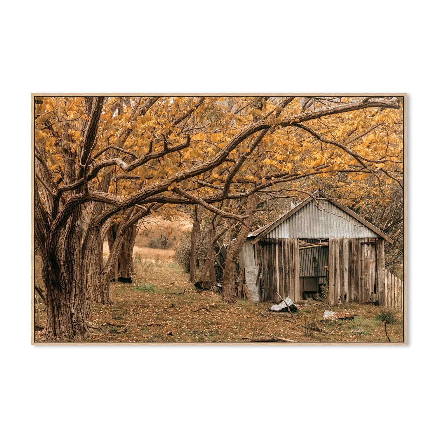 Rustic Shed, Tenterfield, New South Wales - Image 4