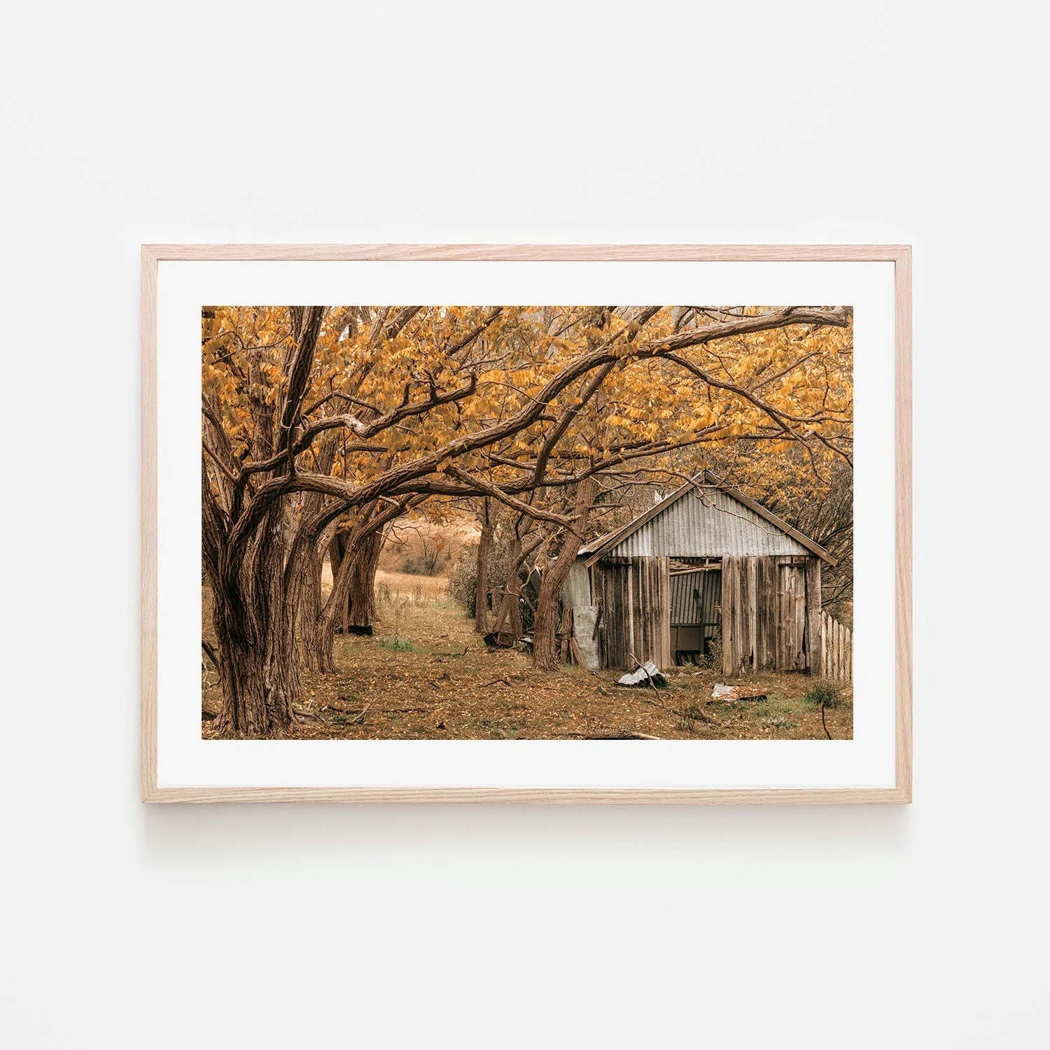 Rustic Shed, Tenterfield, New South Wales - Image 6