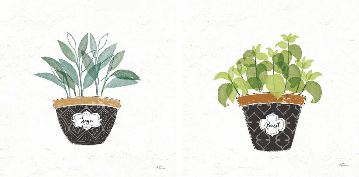 Sage Fine Herbs Style A & Basil Fine Herbs Style B, Set Of 2