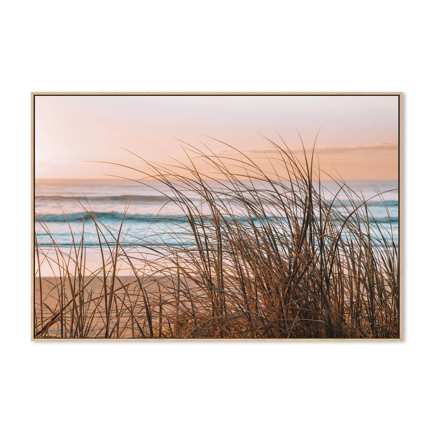 Sea Grass, Darlington, South East Queensland - Image 4