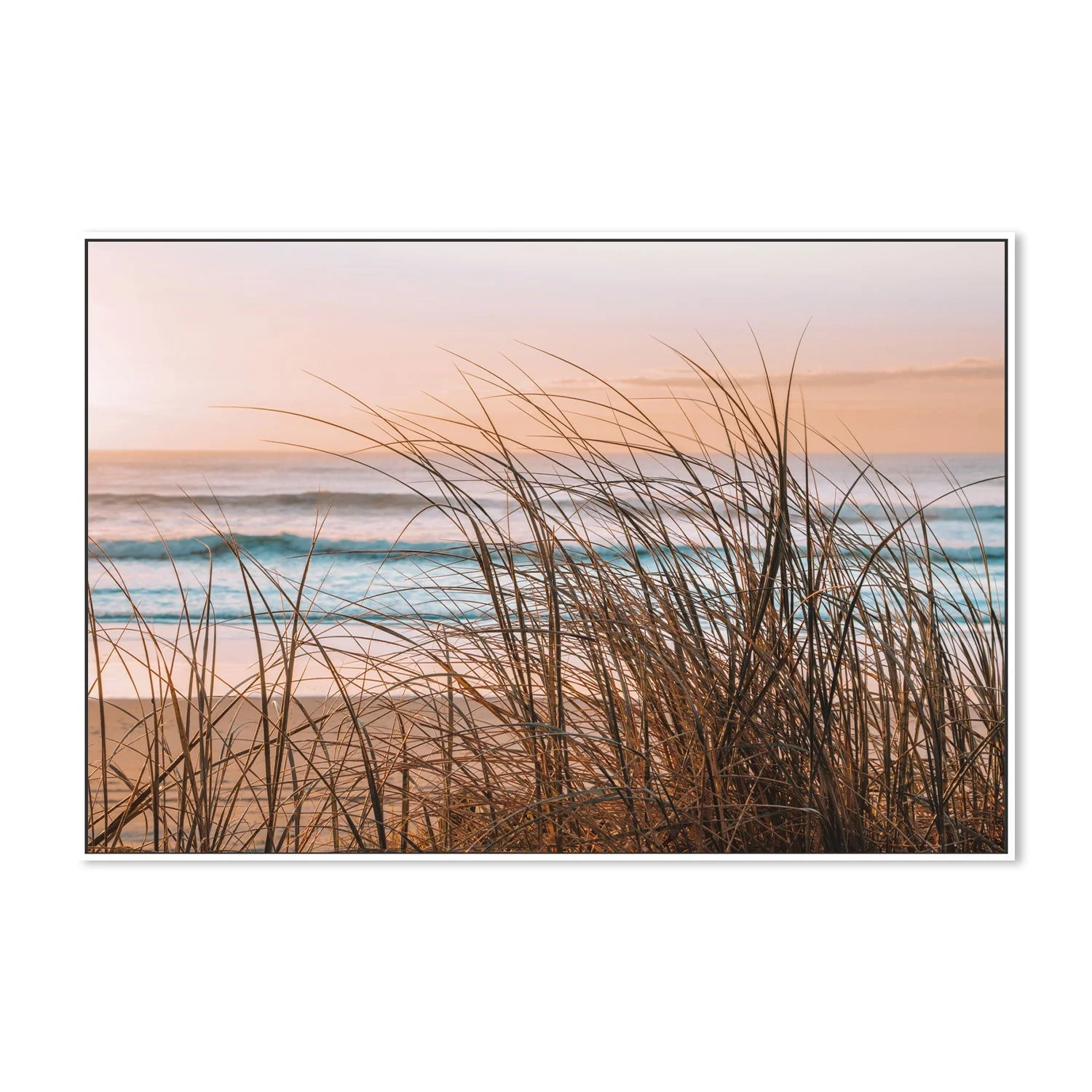 Sea Grass, Darlington, South East Queensland - Image 5