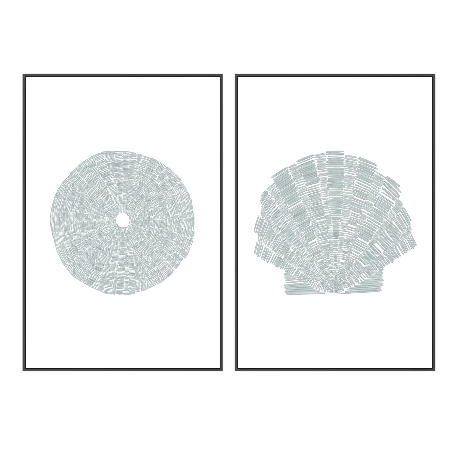 Sea Urchin and Deconstrated Scallop Shell , Set Of 2 - Image 3