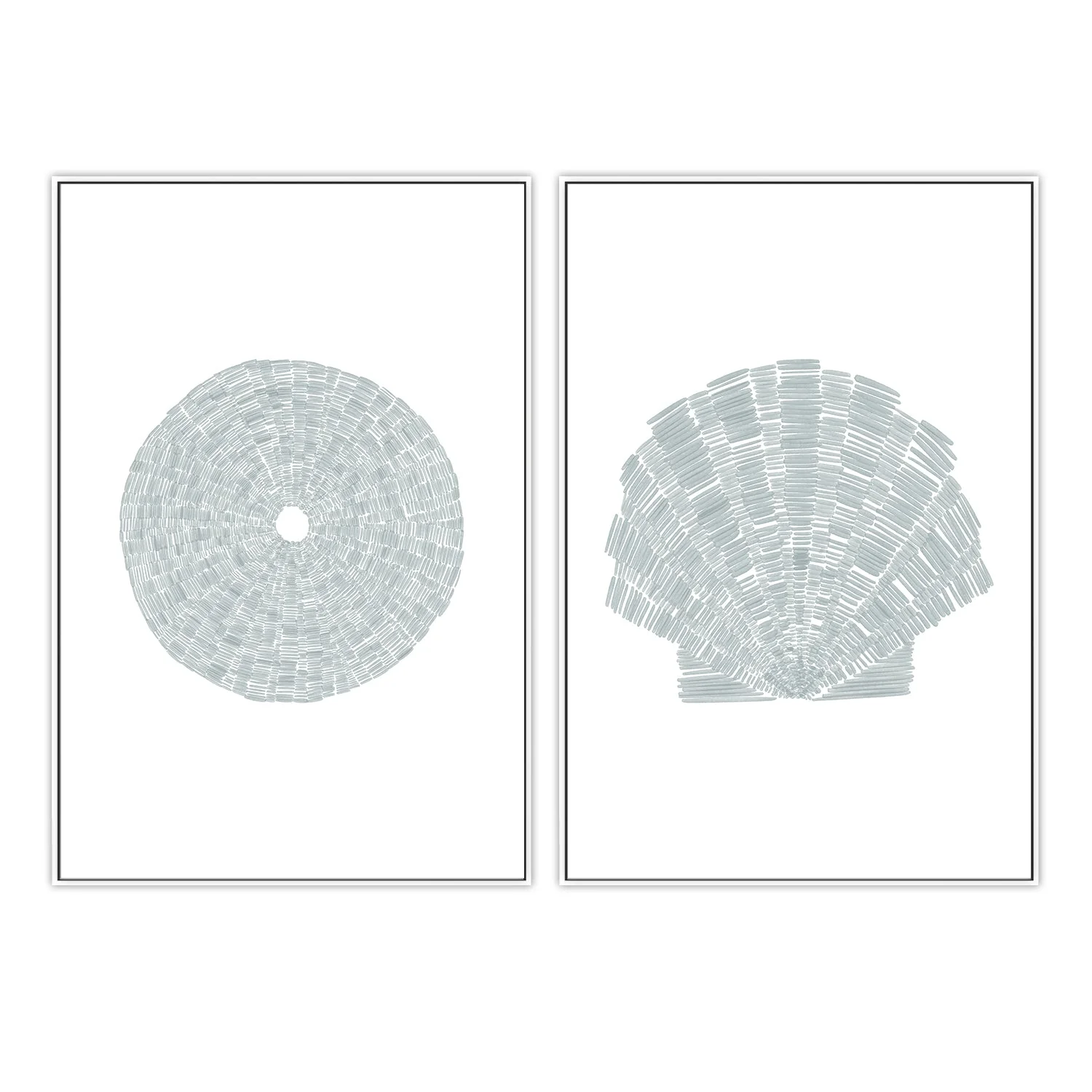 Sea Urchin and Deconstrated Scallop Shell , Set Of 2 - Image 5