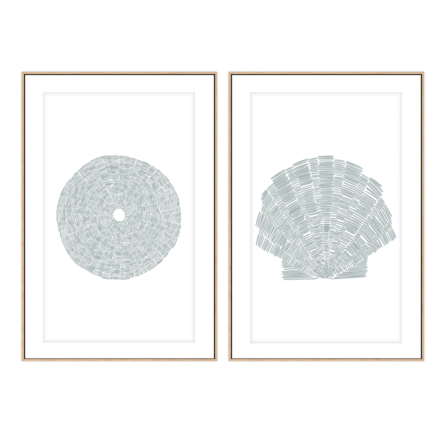 Sea Urchin and Deconstrated Scallop Shell , Set Of 2 - Image 6