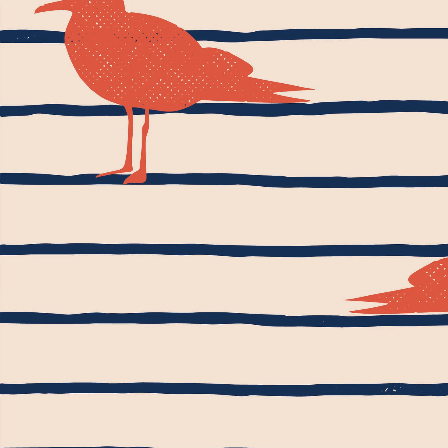 Seabirds Sunset - Image 4