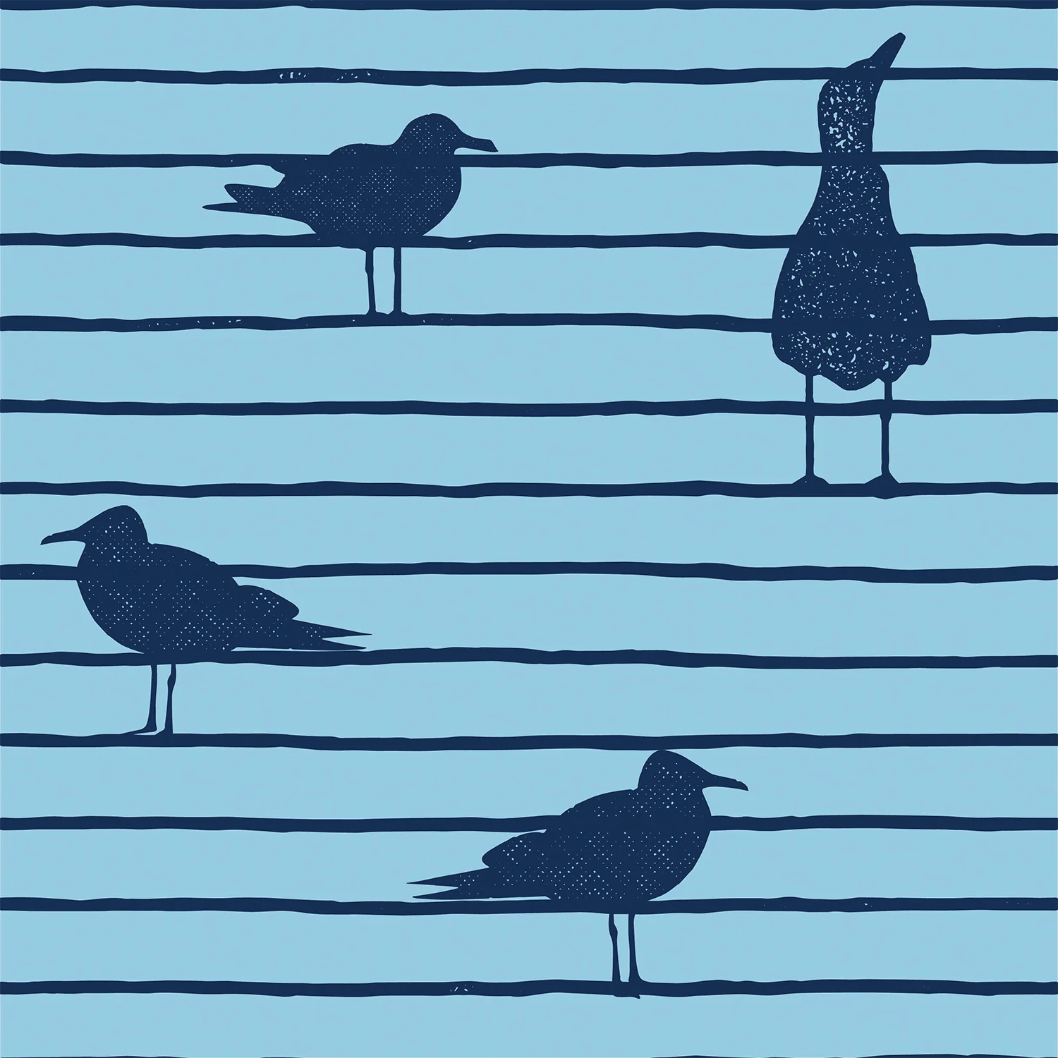 Seabirds Twilight