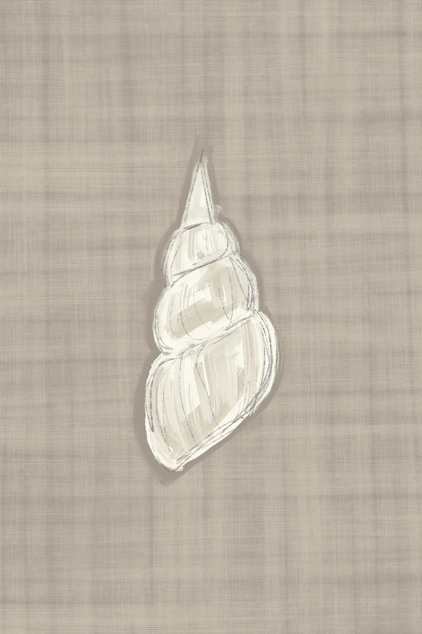 Seashell