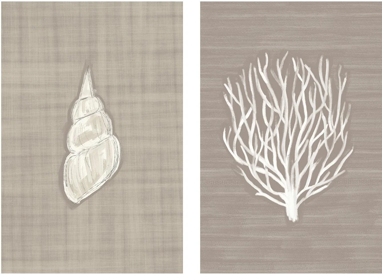 Seashell And Coral Branch , Set Of 2