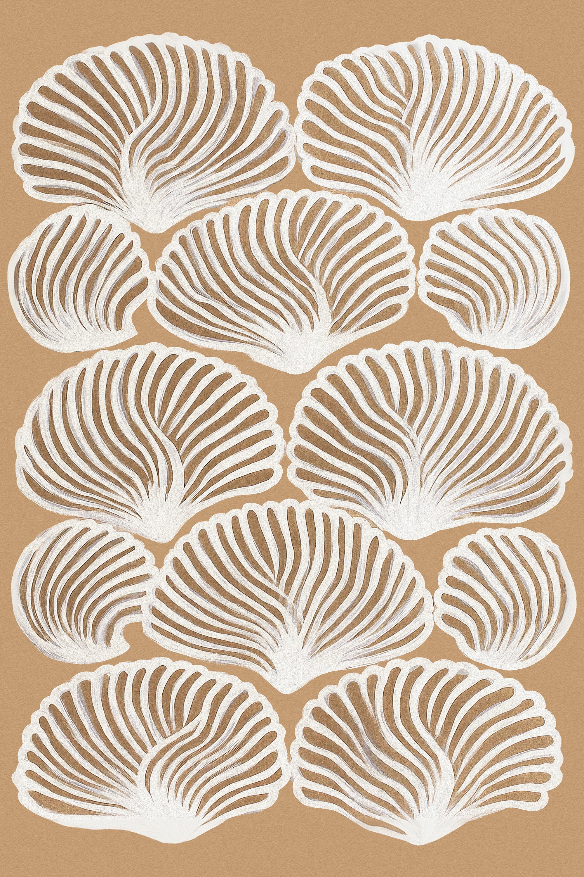 Shell Pattern