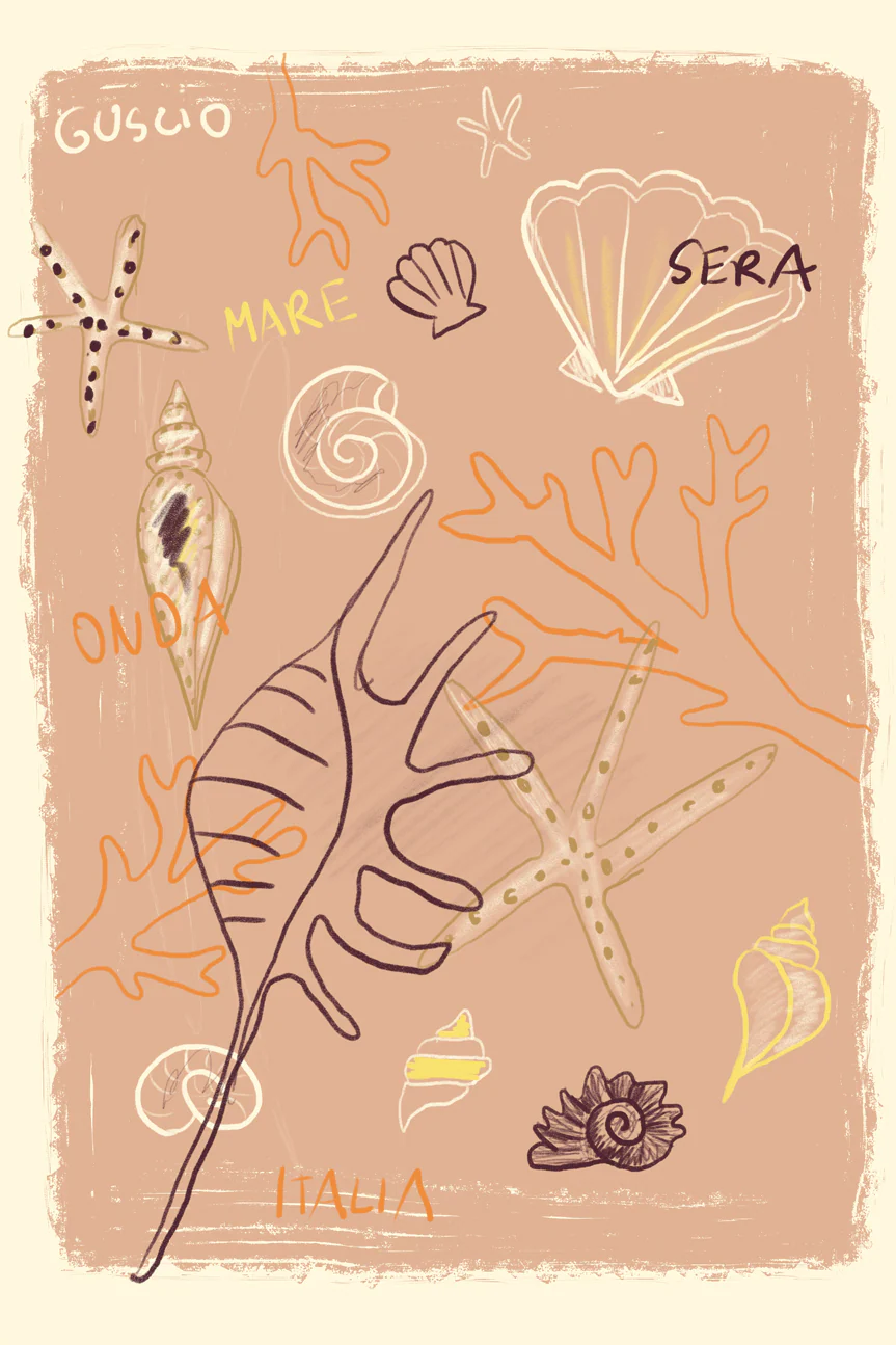 Shells