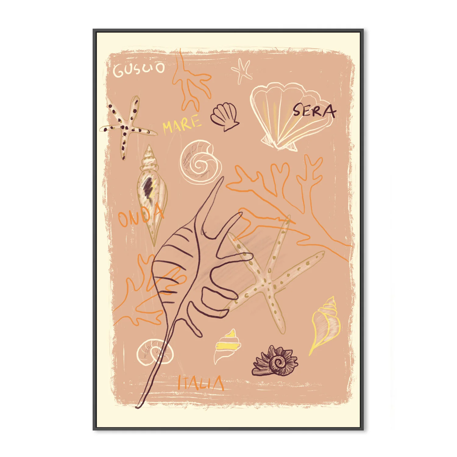 Shells - Image 3