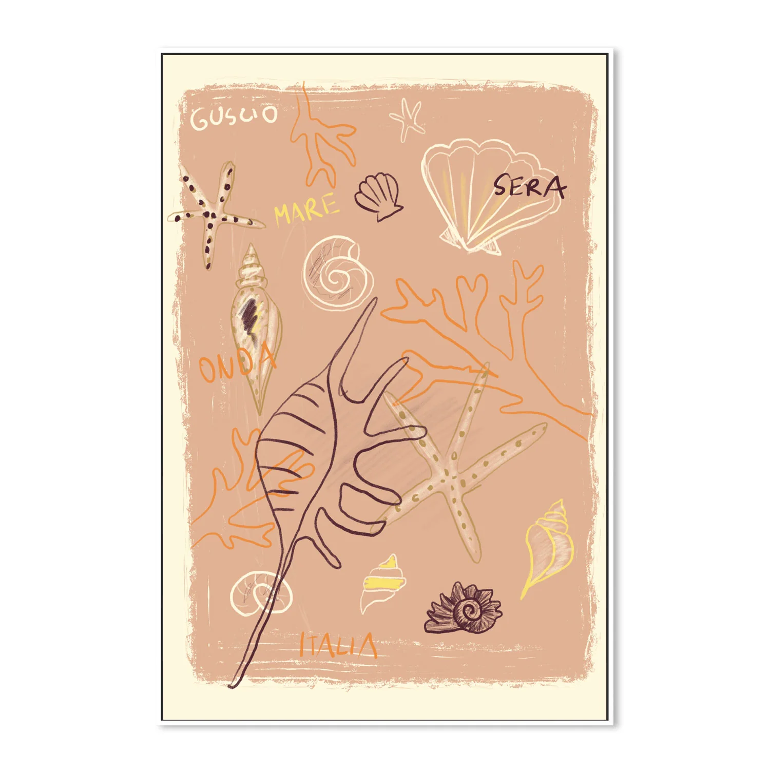 Shells - Image 5